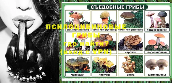 молекула духа Абинск