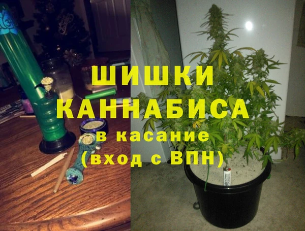 сатива Абдулино