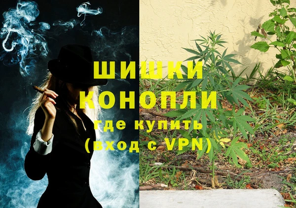 сатива Абдулино