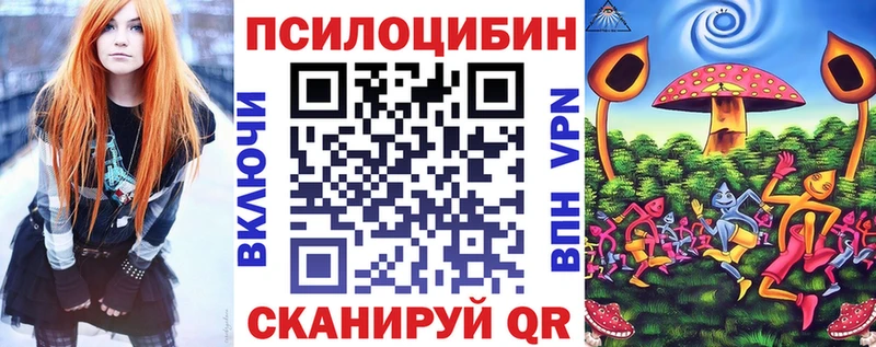 KRAKEN tor  где купить   Иркутск  Галлюциногенные грибы Cubensis 